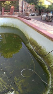 Pool_draining-the-sludge5