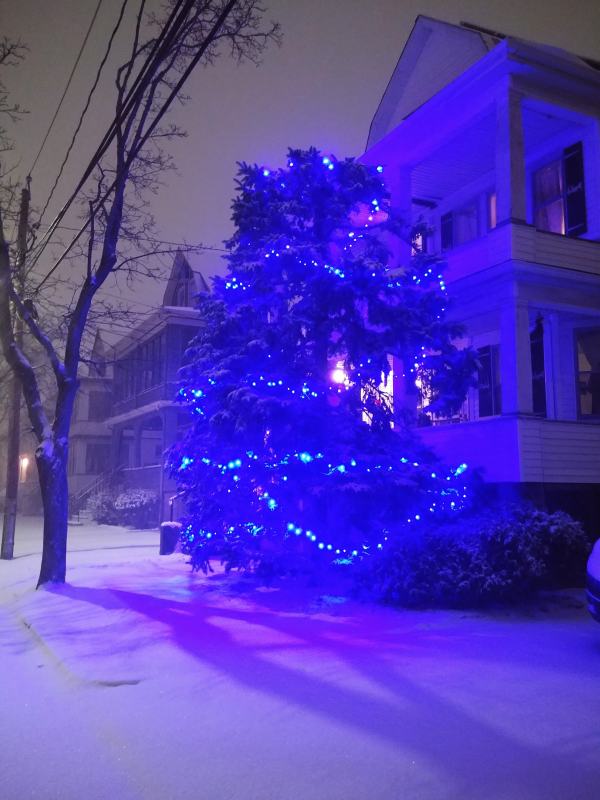 Tree out front, blue lights